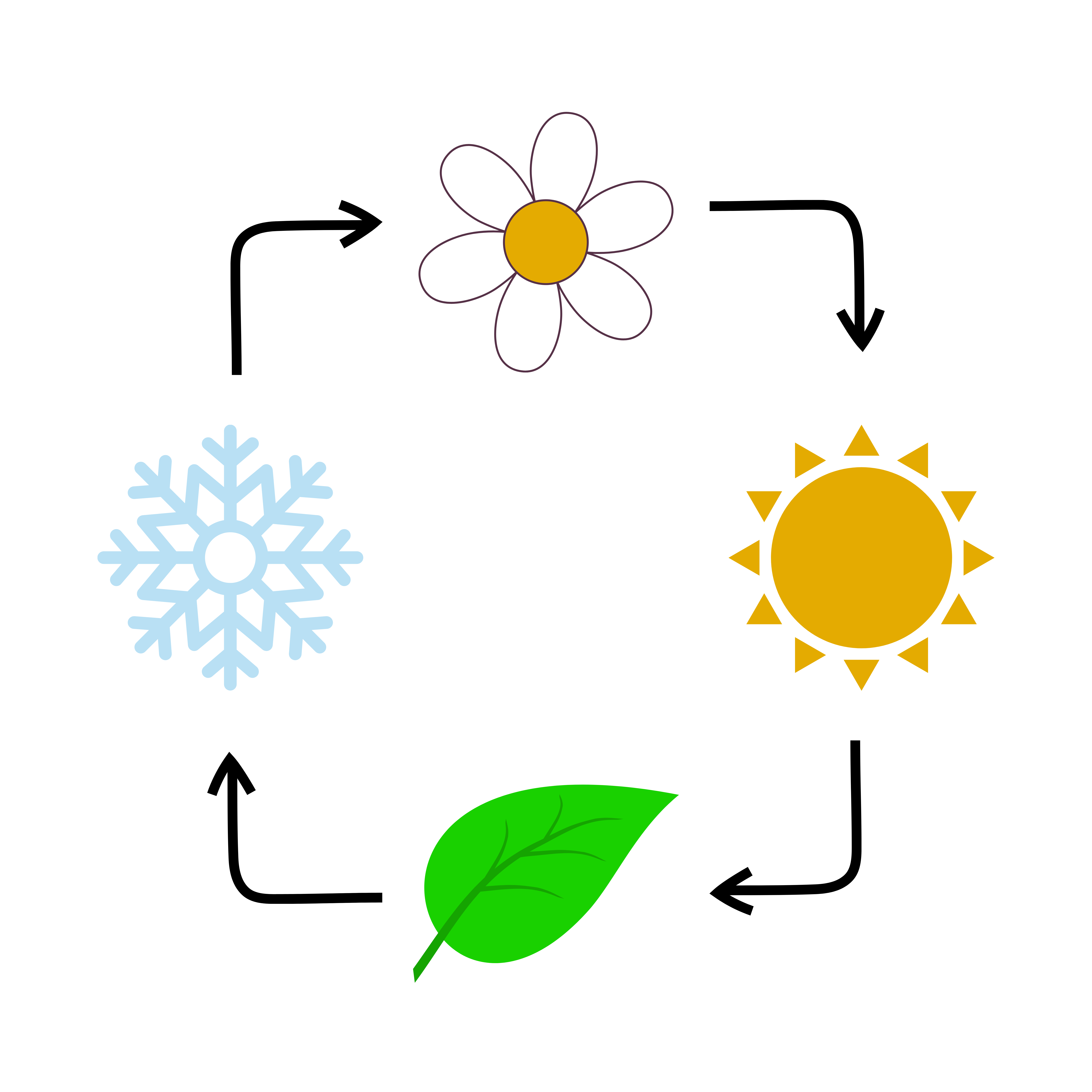 Cartoon Pictures - A Daisy, The Sun, A Leaf, Snowflake, With Arrows Following Each One Showing The Seasons Changing Cartoon Pictures - A Daisy, The Sun, A Leaf, Snowflake, With Arrows Following Each One Showing The Seasons Changing